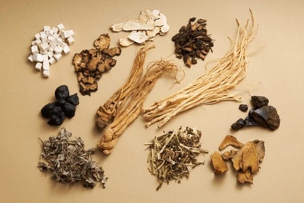 Traditional Chinese Medicine (TCM)