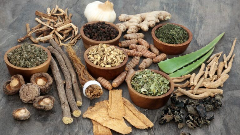 Chinese Natural Herbs for Healthy Aging