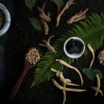 top 5 TCM herbs
