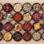 Single Herbs vs. Herbal Formulas in TCM