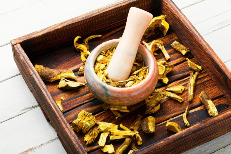 Top Chinese Herbs for Lung Health