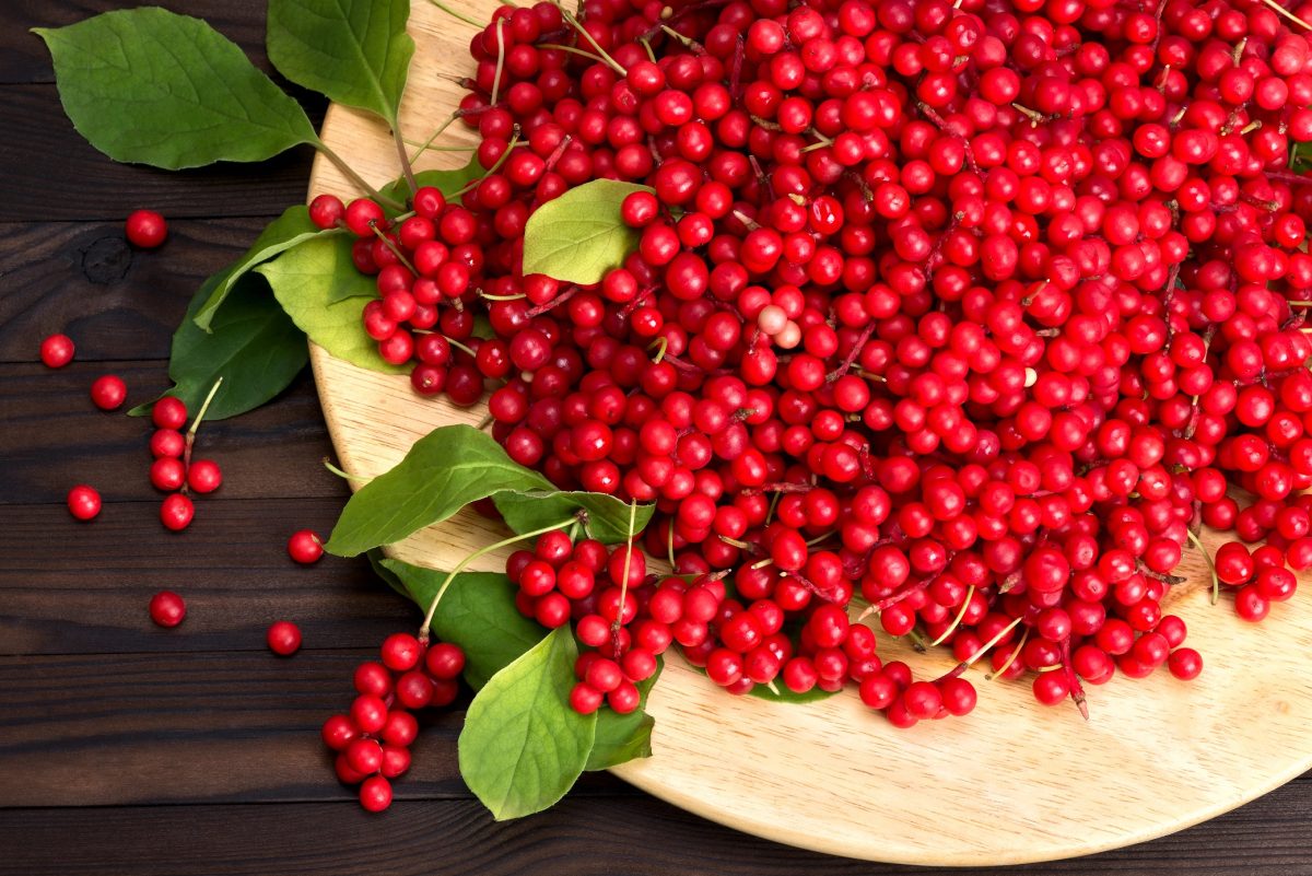 Benefits of Schisandra in Chinese Herbal Medicine