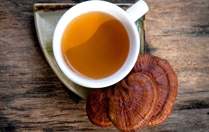 How to Make Reishi Mushroom Tea at Home