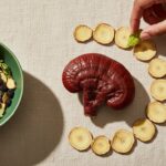 How to Use Herbs for Immune System Support: A Traditional and Modern Guide (2026)