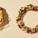 Chinese Herbal Formulas vs. Single Herbs: A Guide to Synergistic Healing in 2026
