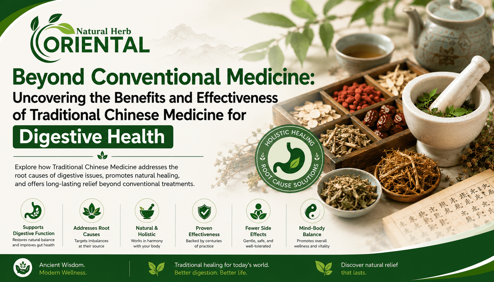 Beyond Conventional Medicine: Uncovering the Benefits and Effectiveness of Traditional Chinese Medicine for Digestive Health