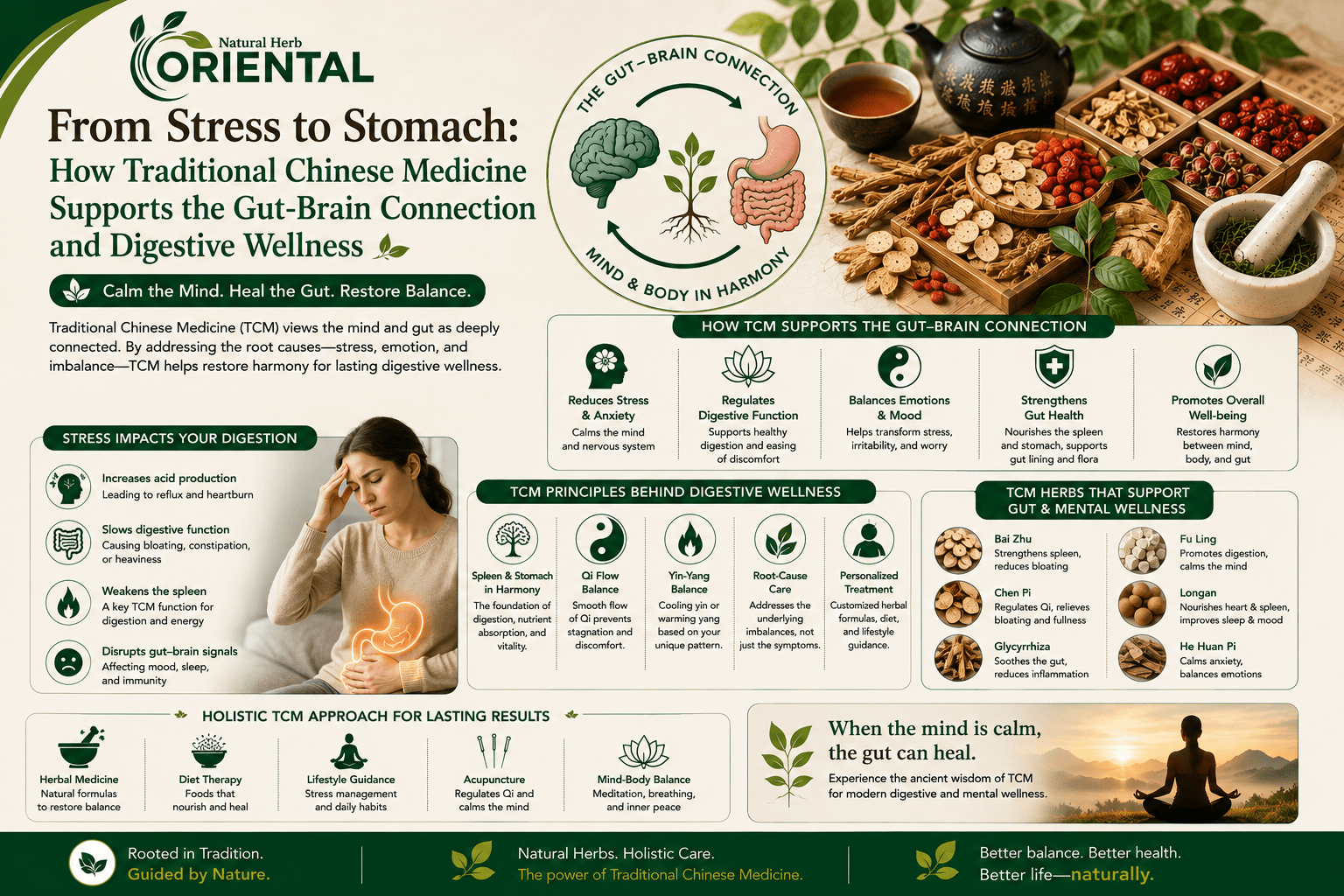 How Traditional Chinese Medicine Supports the Gut-Brain Connection and Digestive Wellness