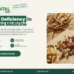 Blood Deficiency in Chinese Medicine – The Oriental Herb, Cliffside Park NJ