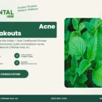 Chinese Herbs for Acne – The Oriental Herb, Cliffside Park NJ
