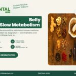 Chinese Herbs for Belly Fat and Slow Metabolism – The Oriental Herb, Cliffside Park NJ