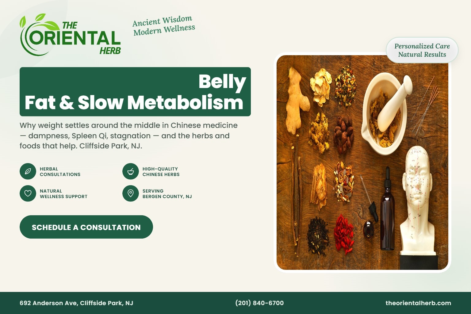 Chinese Herbs for Belly Fat and Slow Metabolism: The TCM View