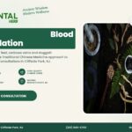 Chinese Herbs for Blood Circulation – The Oriental Herb, Cliffside Park NJ