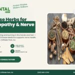 Chinese Herbs for Neuropathy – The Oriental Herb, Cliffside Park NJ