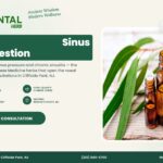 Chinese Herbs for Sinus Congestion and Sinusitis – The Oriental Herb, Cliffside Park NJ
