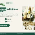 Dampness in Chinese Medicine – The Oriental Herb, Cliffside Park NJ