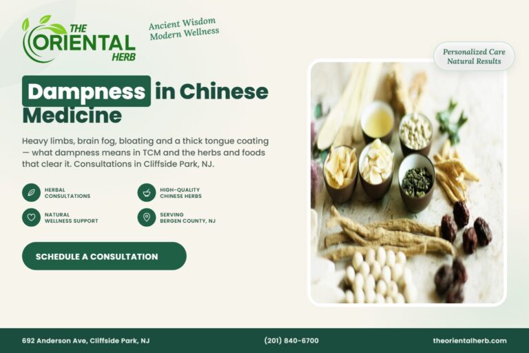 Dampness in Chinese Medicine – The Oriental Herb, Cliffside Park NJ