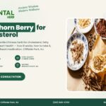 Hawthorn Berry (Shan Zha) for Cholesterol and Heart Health – The Oriental Herb, Cliffside Park NJ