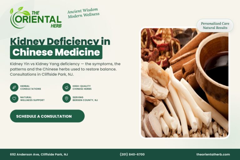 Kidney Deficiency in Chinese Medicine – The Oriental Herb, Cliffside Park NJ
