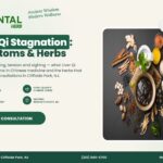 Liver Qi Stagnation – The Oriental Herb, Cliffside Park NJ