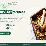 Mulberry Leaf (Sang Ye) for Blood Sugar – The Oriental Herb, Cliffside Park NJ