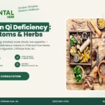 Spleen Qi Deficiency – The Oriental Herb, Cliffside Park NJ