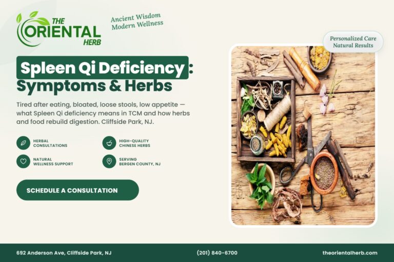 Spleen Qi Deficiency – The Oriental Herb, Cliffside Park NJ